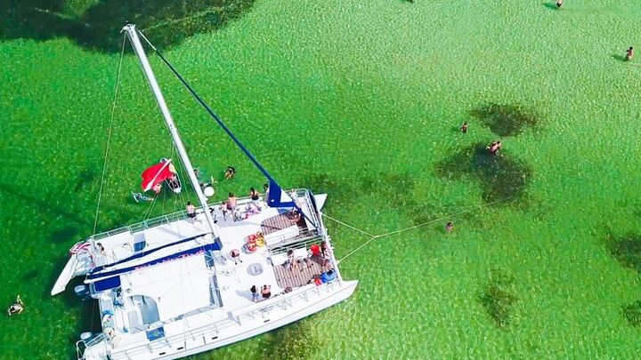 Shell Island Snorkel & Dolphin Cruise from Panama City Beach
