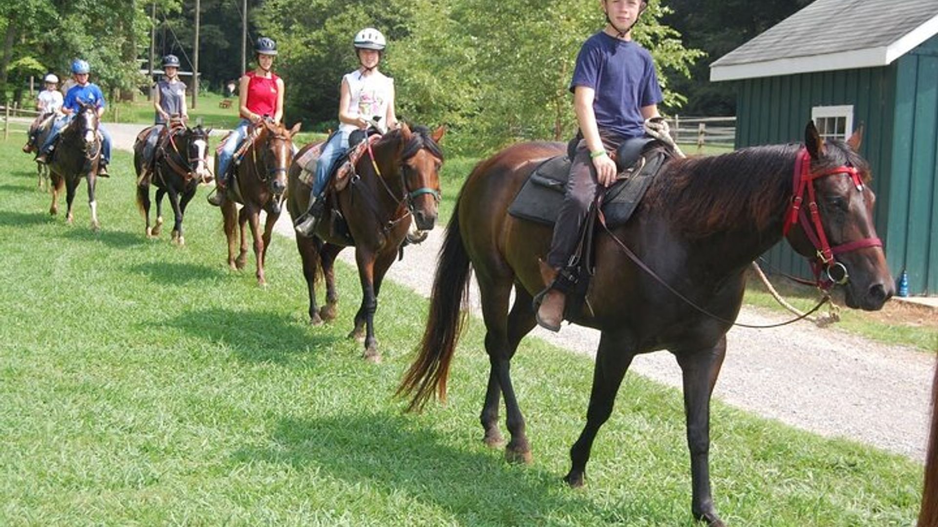 Side Horse Safari in Forest and Beach with Transfer