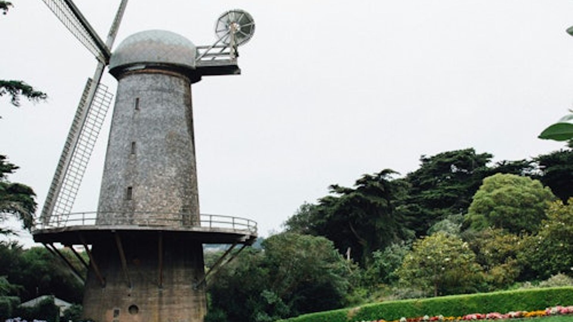 San Francisco: Surrey Bike Rental in Golden Gate Park image 2
