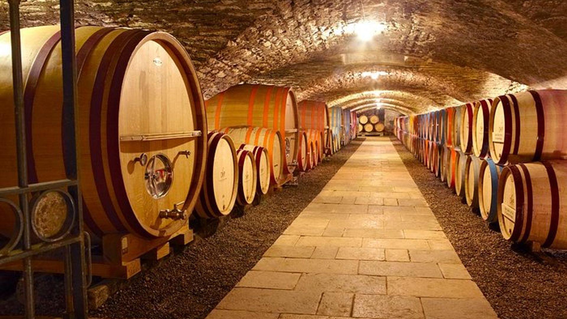 Half-Day Bike & Wine Tour in Burgundy's Côte de Beaune
