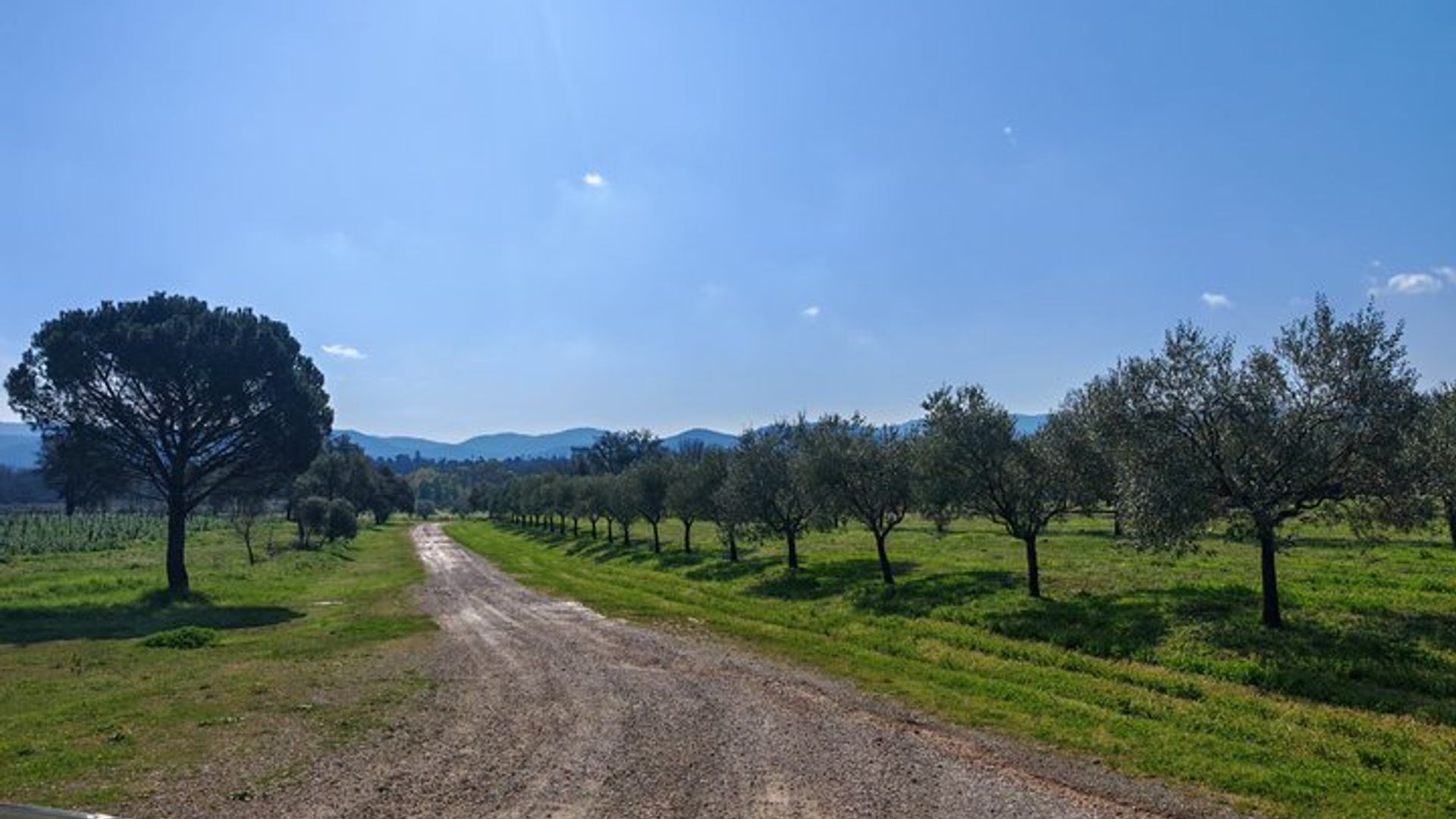 Private Wine Tasting Experience at Chateau Saint Julien d’Aille