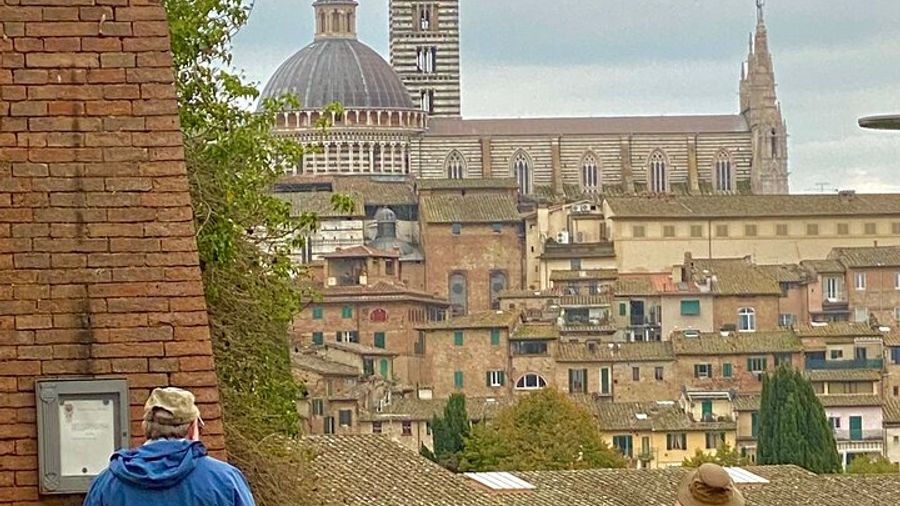 Private Full-Day Siena, San Gimignano and Chianti Tour from Florence