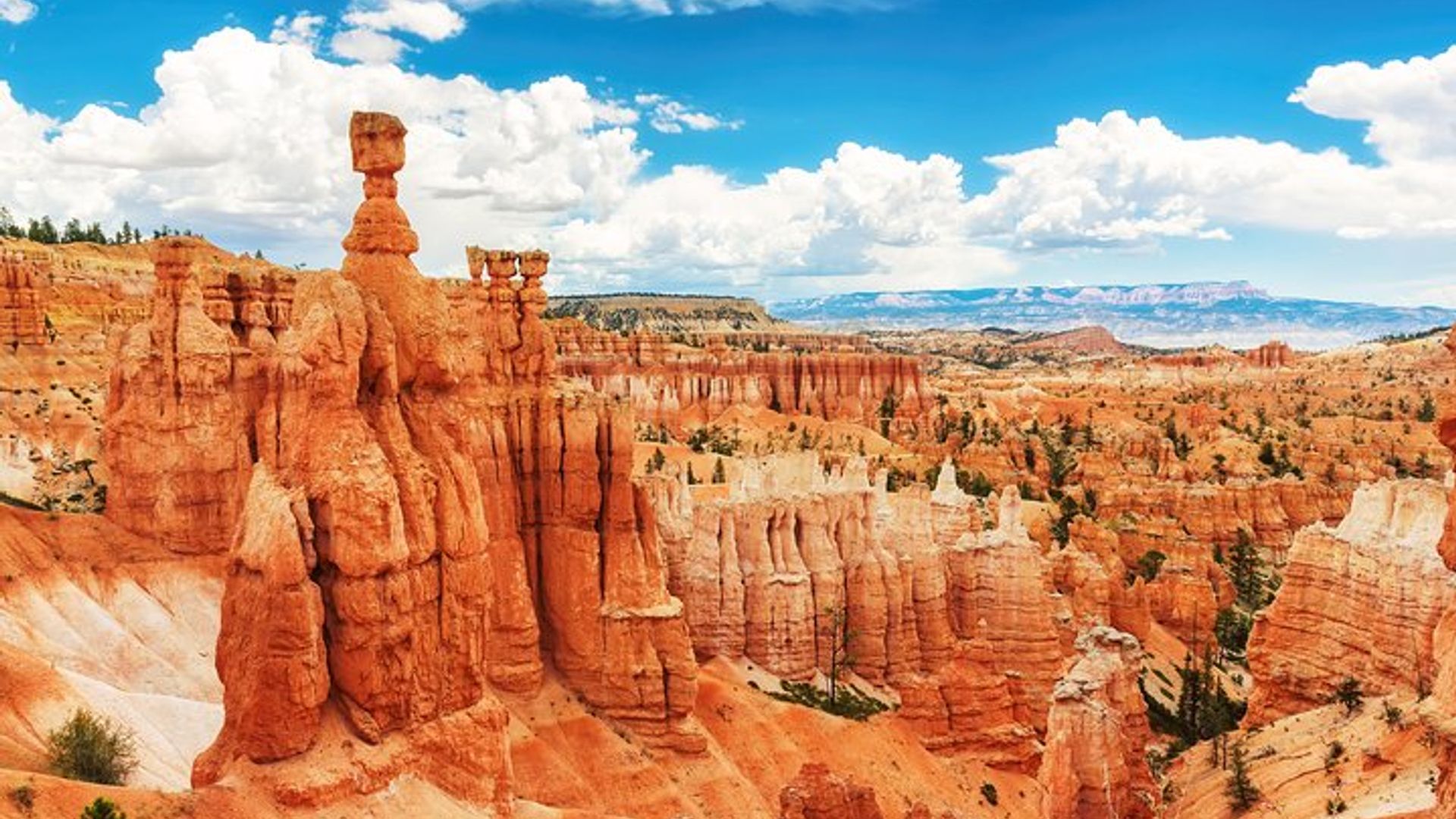 Bryce Canyon, Grand Tetons, Yellowstone Camping from Las Vegas image 3