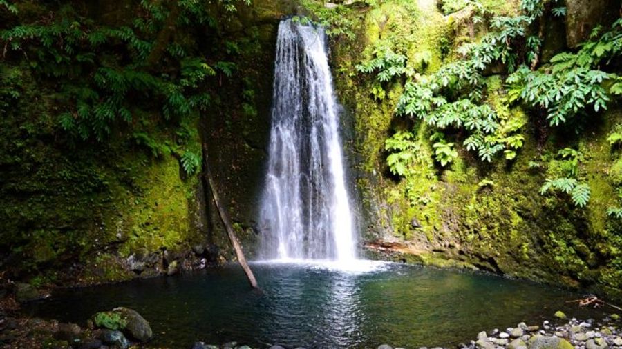 Sanguinho and Salto do Prego Hike from Ponta Delgada