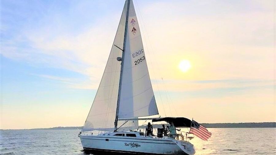 Hilton Head Private Morning Dolphin-Watching Tour