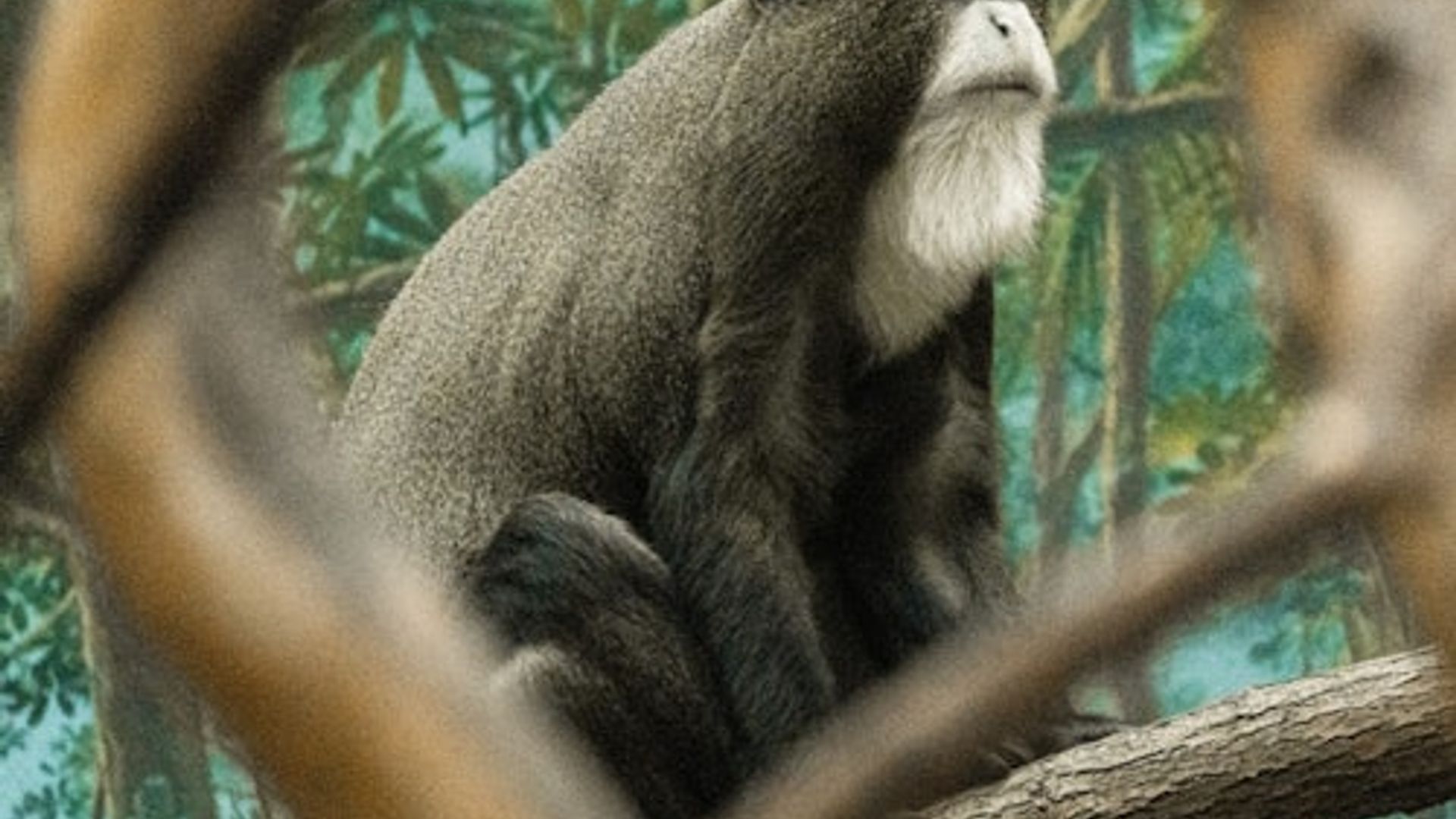 Franklin Park Zoo: Entry Ticket image 1
