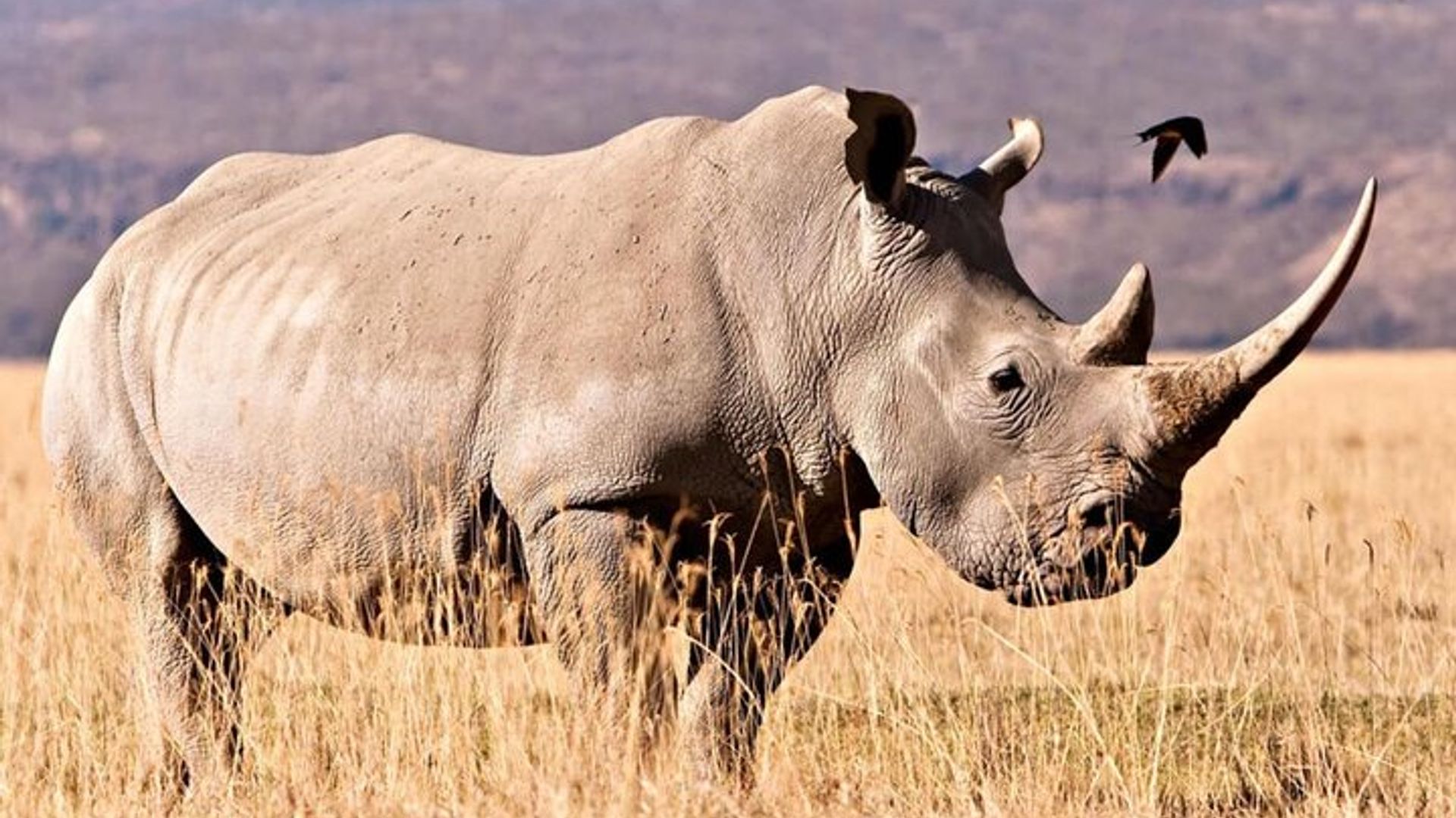 4 Day Small Group Garden Route Tour in Cape Town