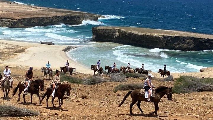 Natural Pool Small-Group Horseback Riding Tour in Aruba