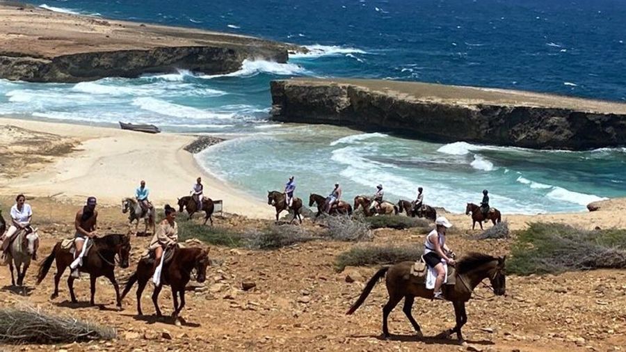 Natural Pool Small-Group Horseback Riding Tour in Aruba