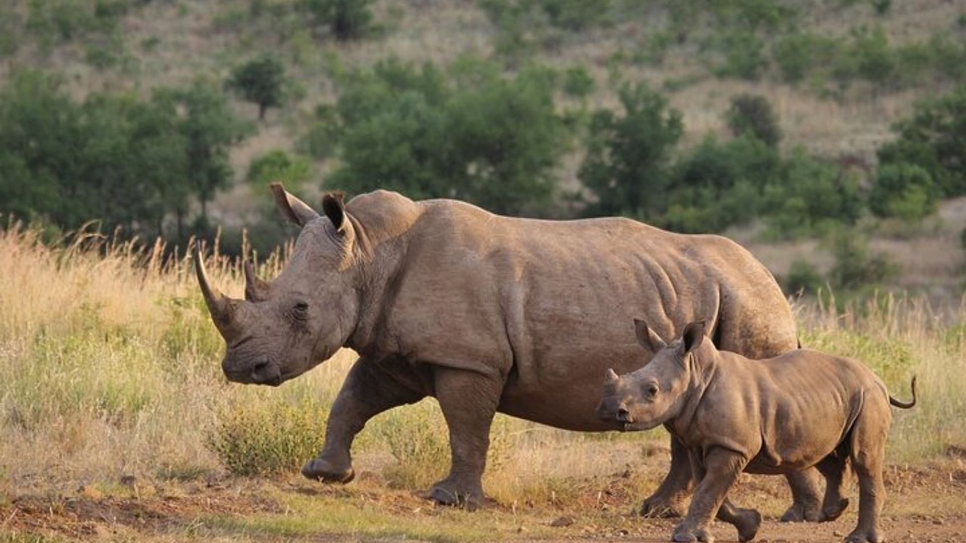 Garden Route 4 Day Small Group tour from Cape Town Starts Any Day