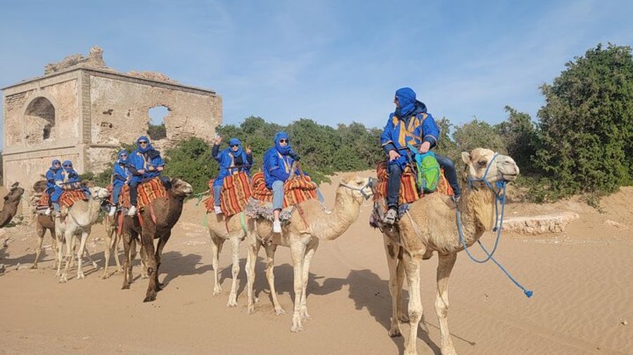 Essaouira Private Guided Camel Ride Along Essaouira Beach