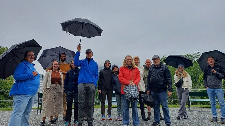 Bergen Highlights Tour: History, Architecture, and Culture
