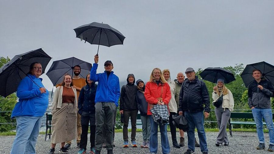 Bergen Highlights Tour: History, Architecture, and Culture
