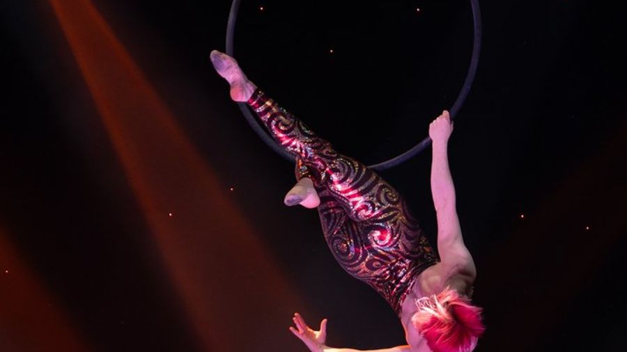 Pigeon Forge: Array Variety Show, All-Ages Song, Dance, Comedy