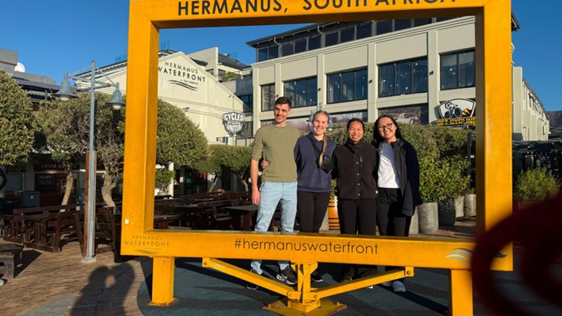 Partagé Hermanus Boat Based Whale Watching and Penguin Adventure