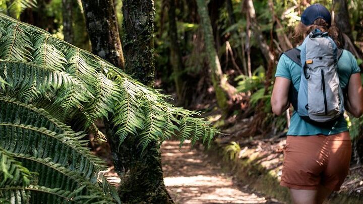 Queen Charlotte Sound and Link Pathway Full-Day Kayak and Walk