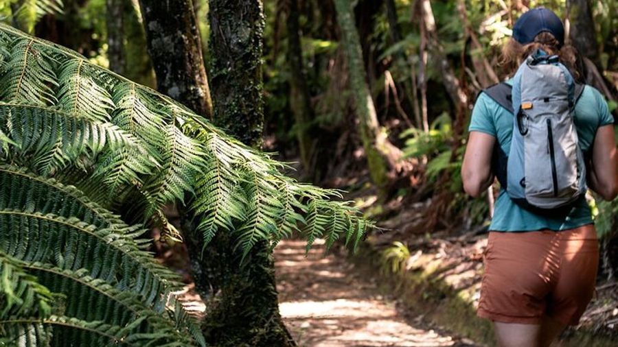 Queen Charlotte Sound and Link Pathway Full-Day Kayak and Walk