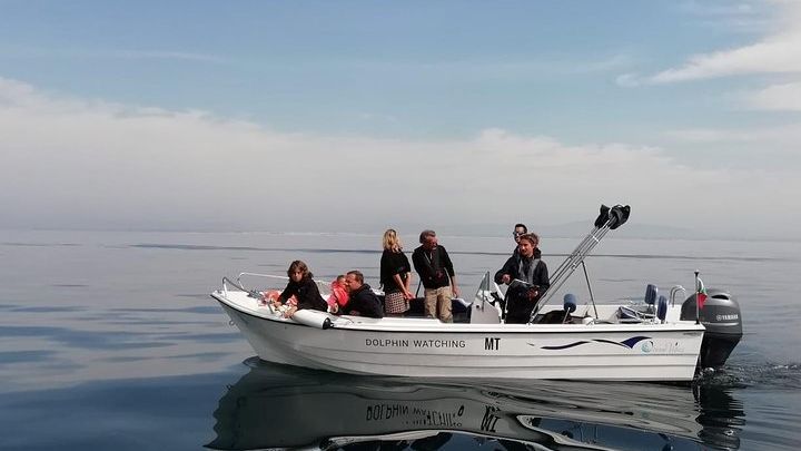 Faro Small-Group Dolphin-Watching Tour