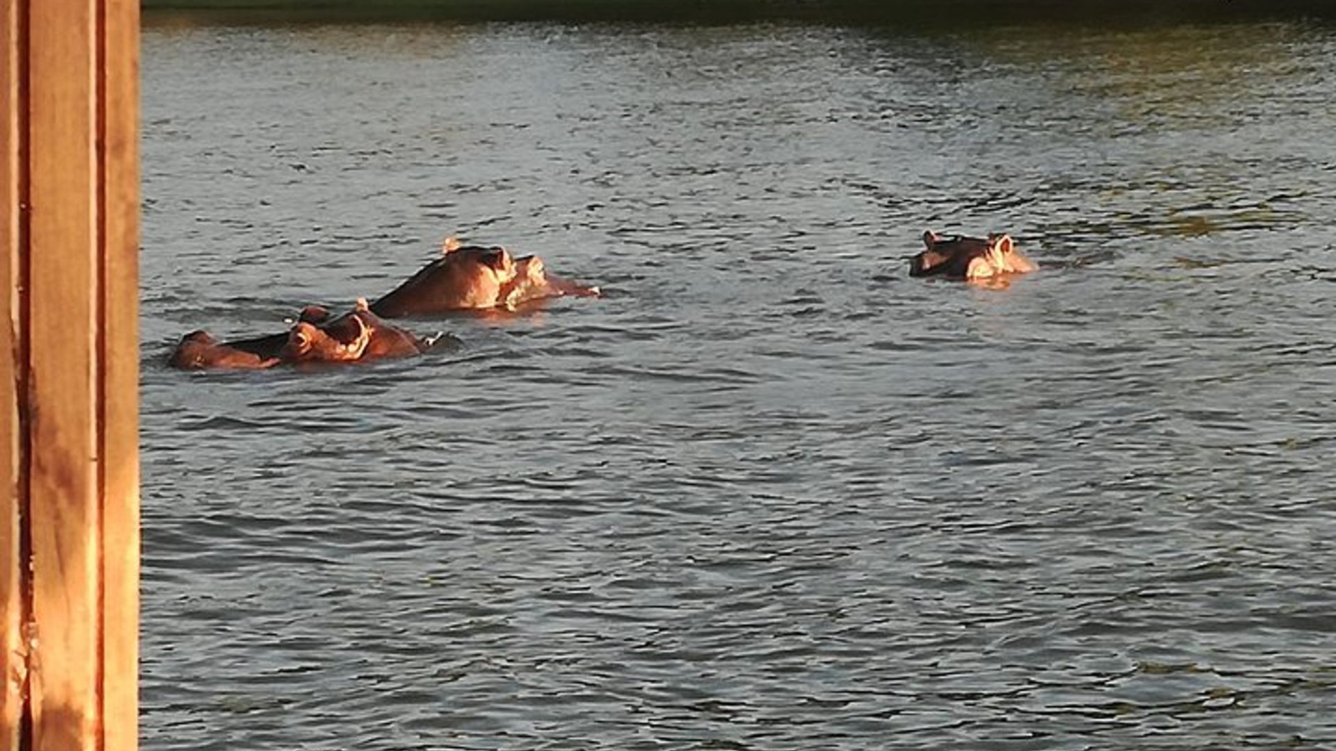 Zambezi Sunset Cruise - Victoria Falls