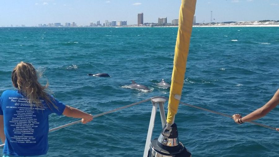 Shell Island Inflatable Adventure Park & Dolphin Sightseeing Tour