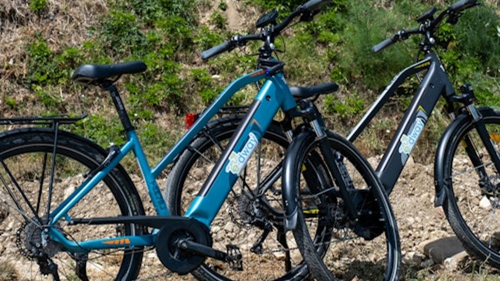 Florence: Half-Day Guided E-bike Tour + Lunch