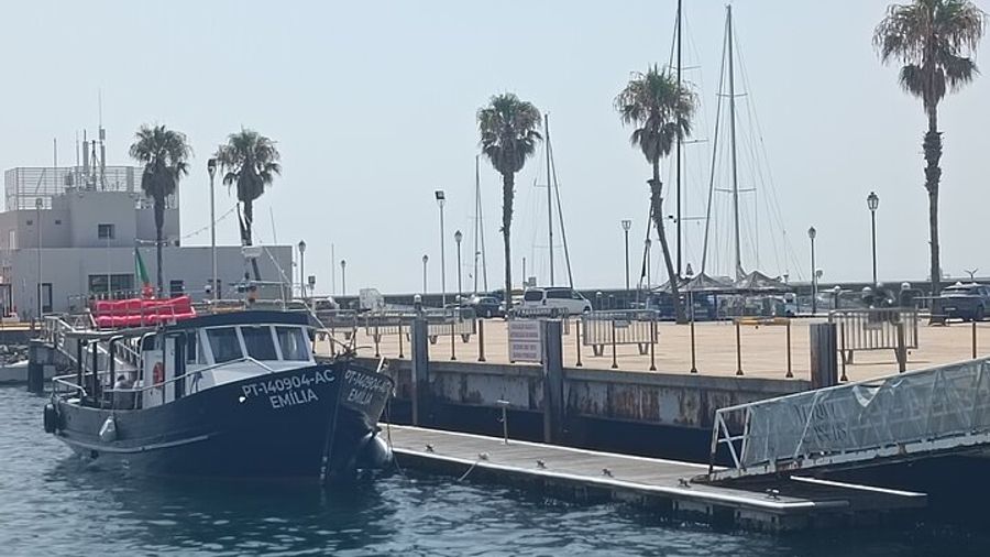 Cascais Coastal Secrets 90 Minute Cruise with Free Wine and Beer