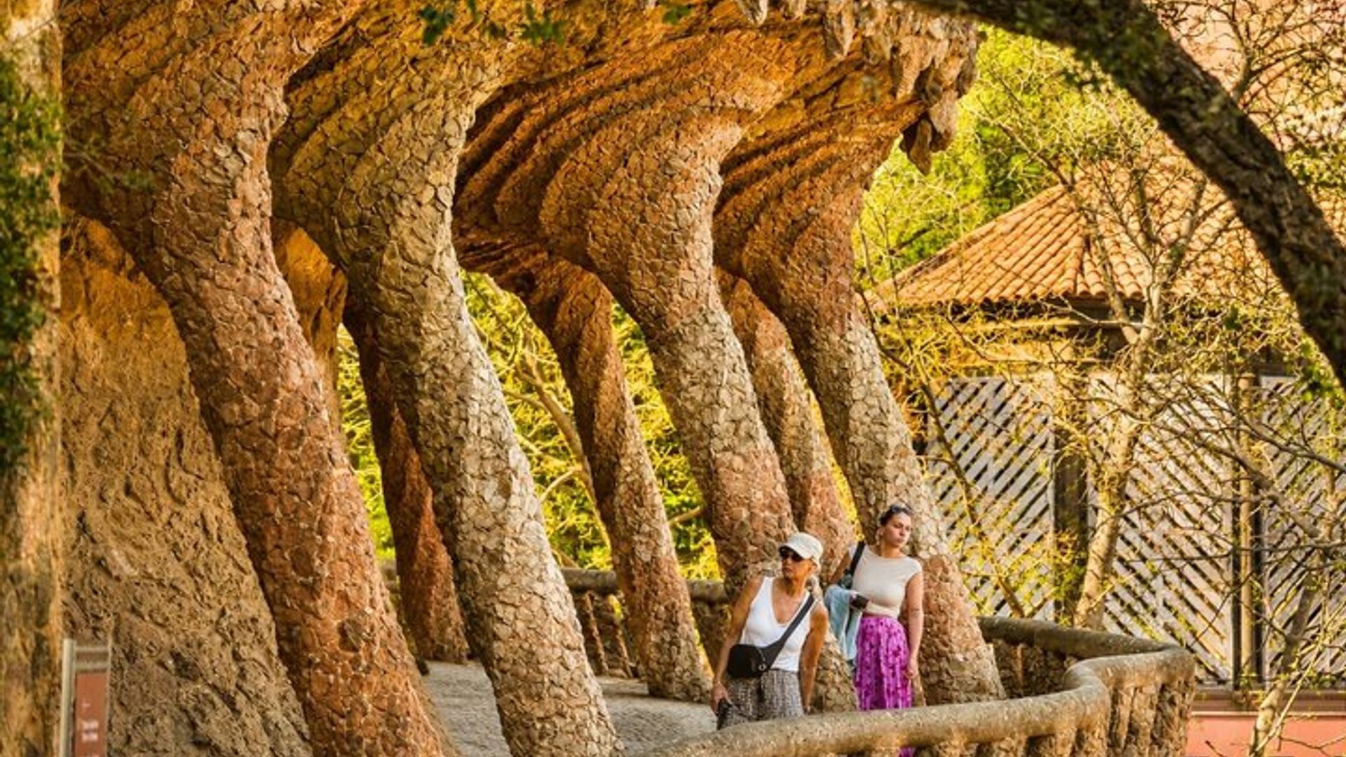 Park Güell Tickets ohne Anstehen und Führung