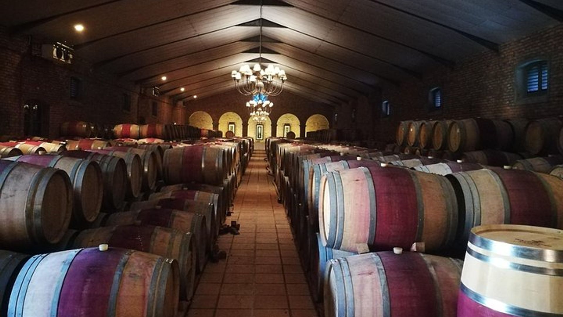 Cape Winelands Private Guide Tour From Cape Town