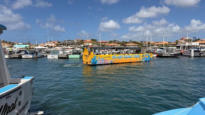 Bus That Drives Into the Ocean Unique Curaçao Amphibious Tour