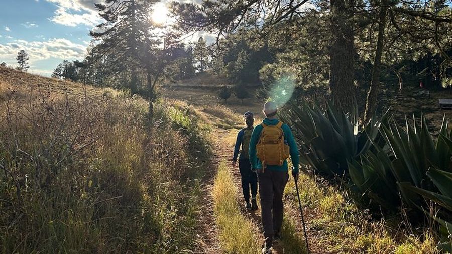 Oaxaca: Small-Group Sierra Norte Hiking Tour With Local Cafe
