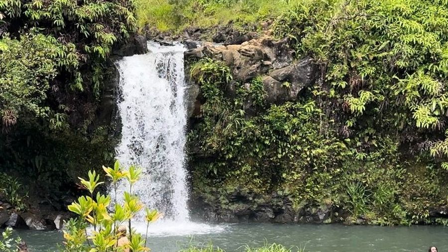 Private Road to Hana Maui Open-Air Jeep Tour