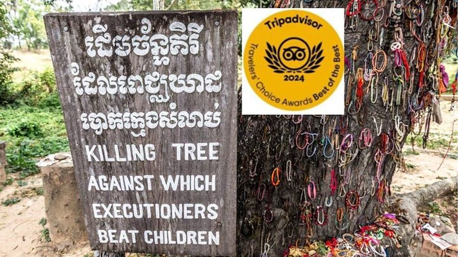 Half-Day Phnom Penh Killing Fields and S21 Museum Tour
