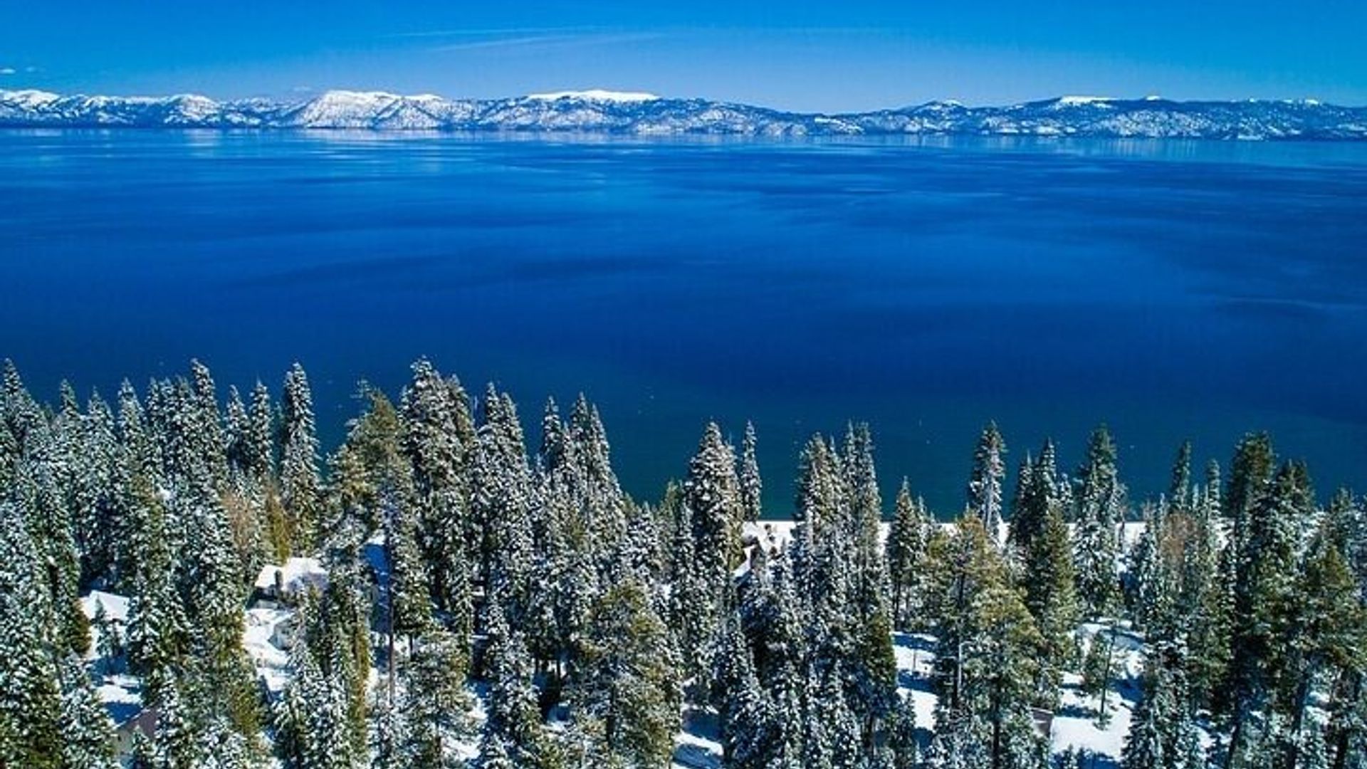 Lake Tahoe Small Group Tour from Cupertino image 3