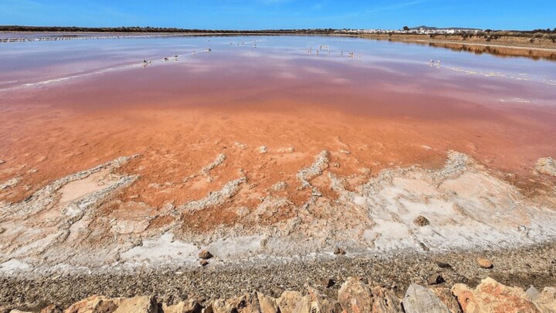 Tavira: tour privado en jeep 4x4, Cacela Velha y Ria Formosa