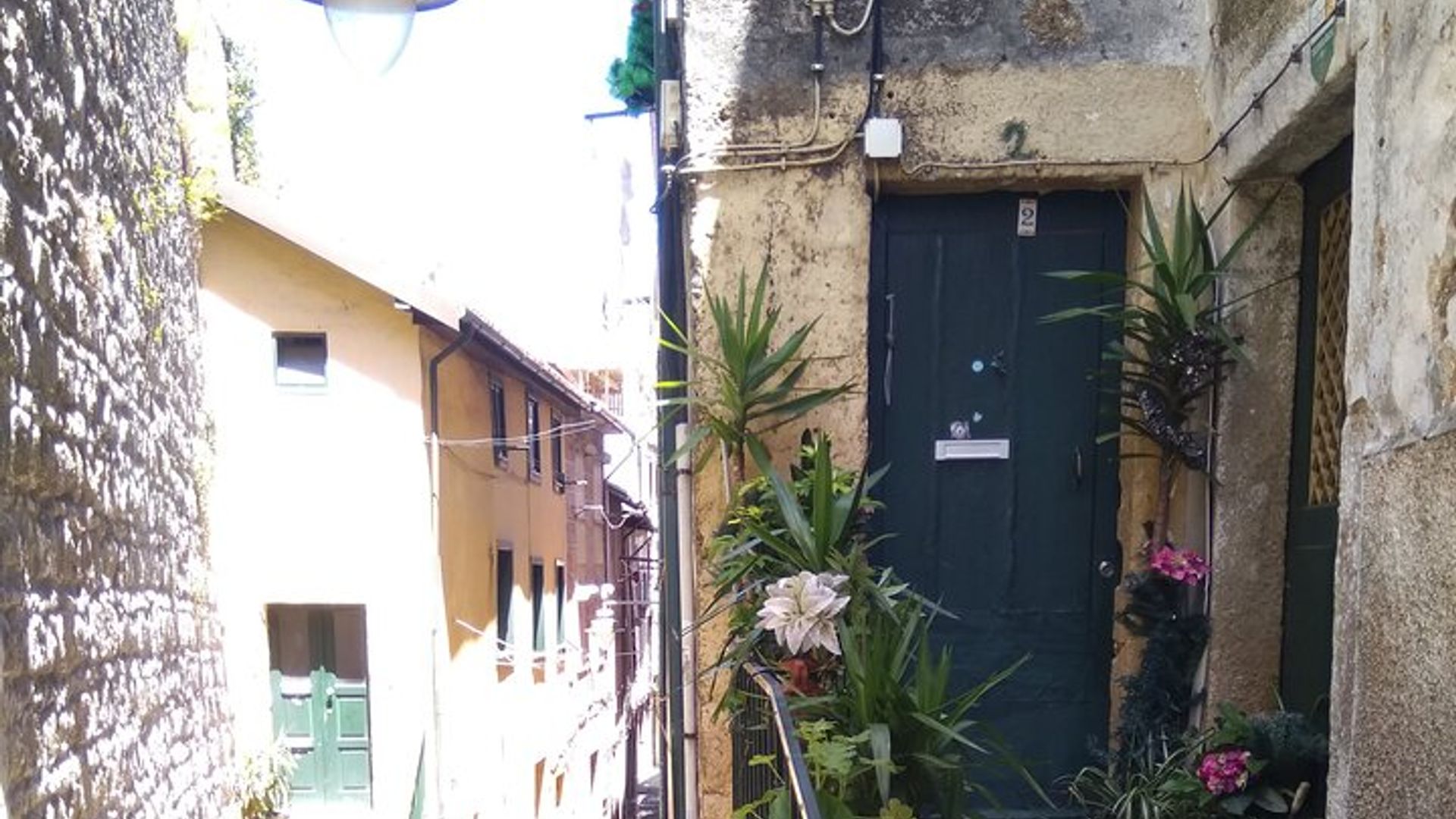 property.imageAlt