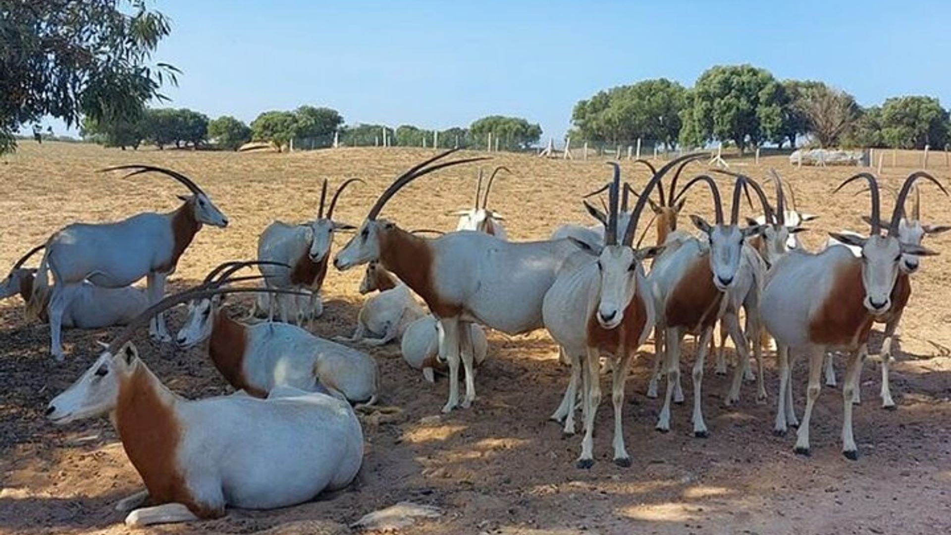Souss Massa National Park Von Agadir