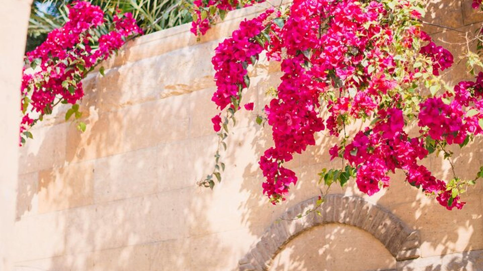 Private Tour von Saint-Tropez zur Blumenstadt