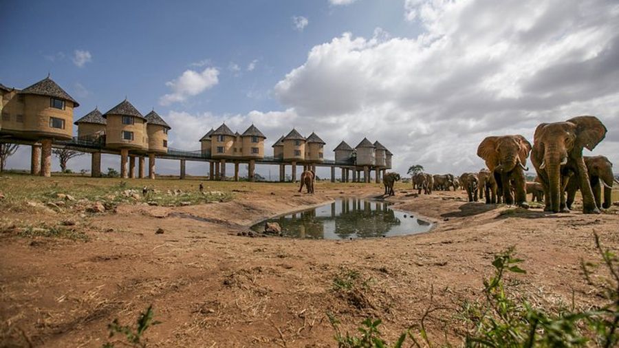2-Day Taita Hills Wildlife Sanctuary & Tsavo East Safari -Mombasa