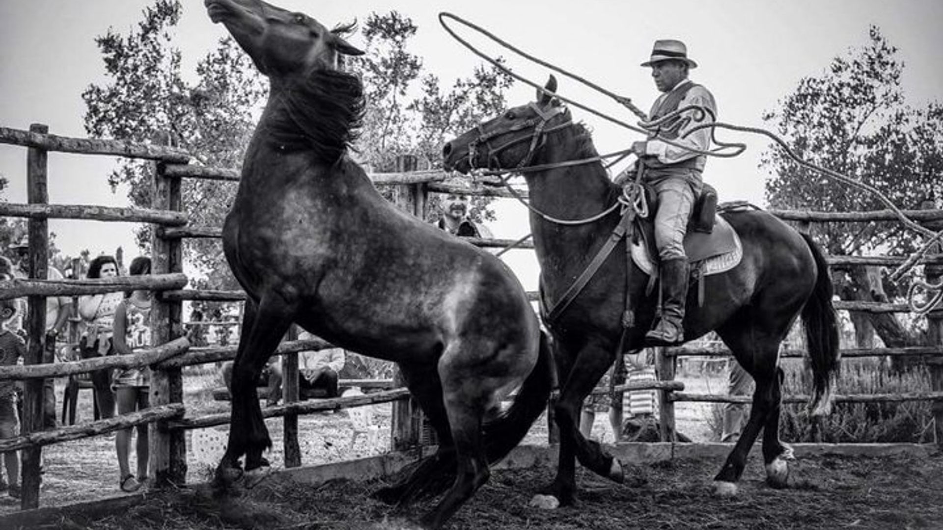 Butteri Maremmani Show - Ferme pédagogique - Dîner Maremmana