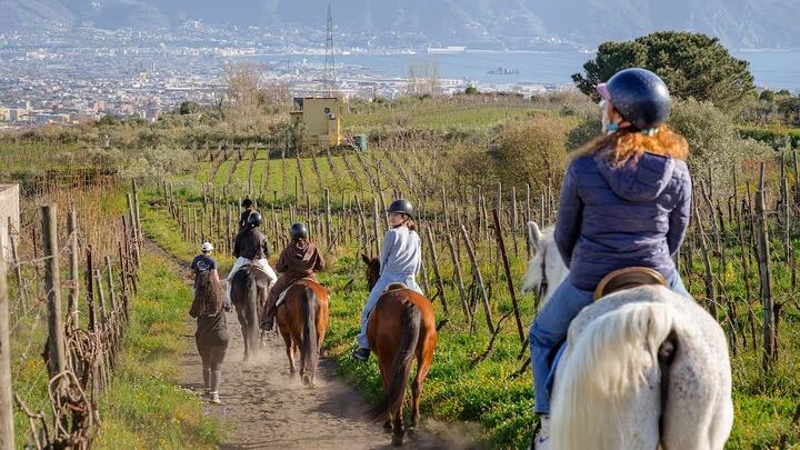 Vesuvius Small-Group Horseback Riding Tour With Naples Option