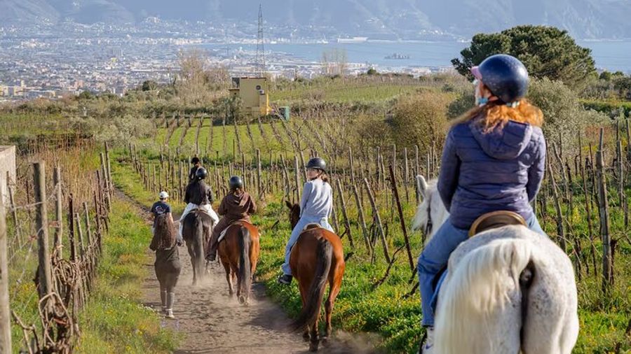 Vesuvius Small-Group Horseback Riding Tour With Naples Option