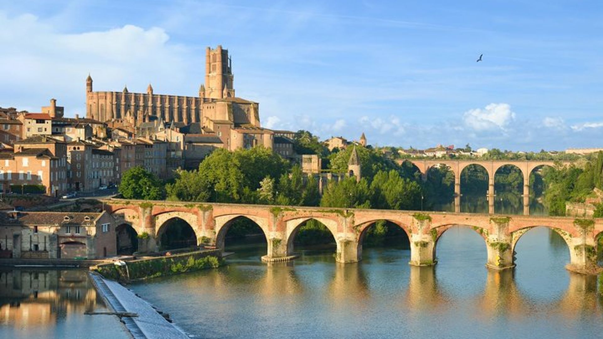 Toulouse à Albi, Cordes sur Ceil, Musée, Bus