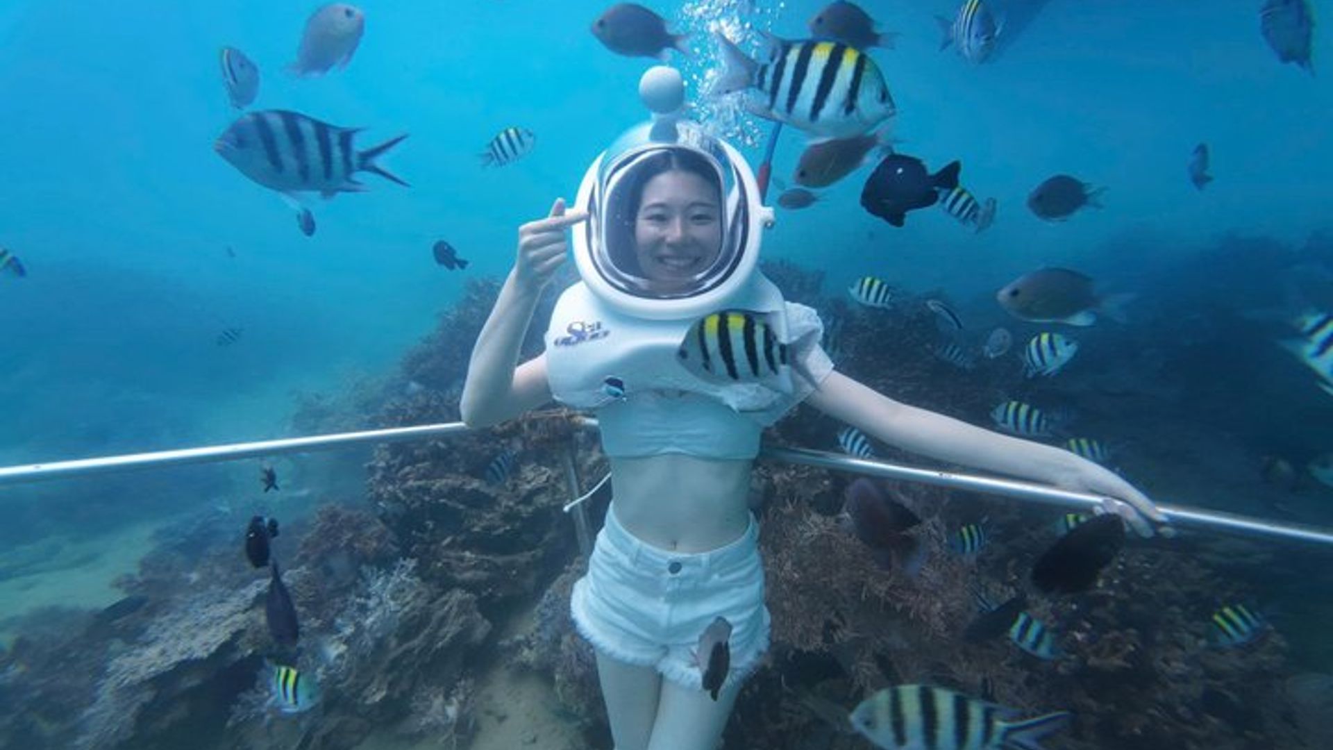 Crucero de día completo de las islas Cham: caminata subacuática, snorkeling