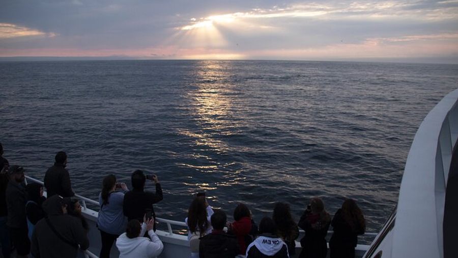 Monterey Whale-Watching Boat Tour