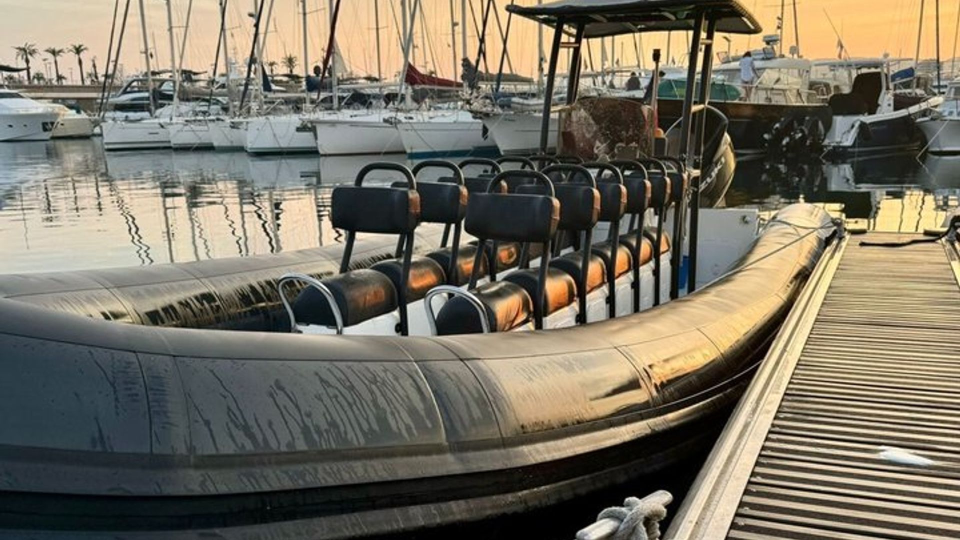 Delfinbeobachtungskreuzfahrt Pelagos Sanctuary von Saint Raphael