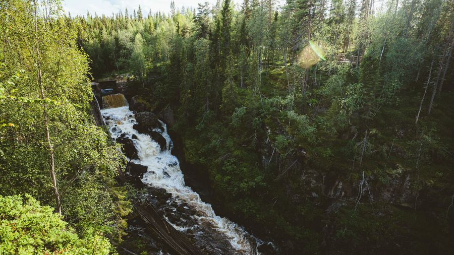 Rovaniemi: Auttiköngäs Waterfalls Hike Tour & Barbeque - Small Group