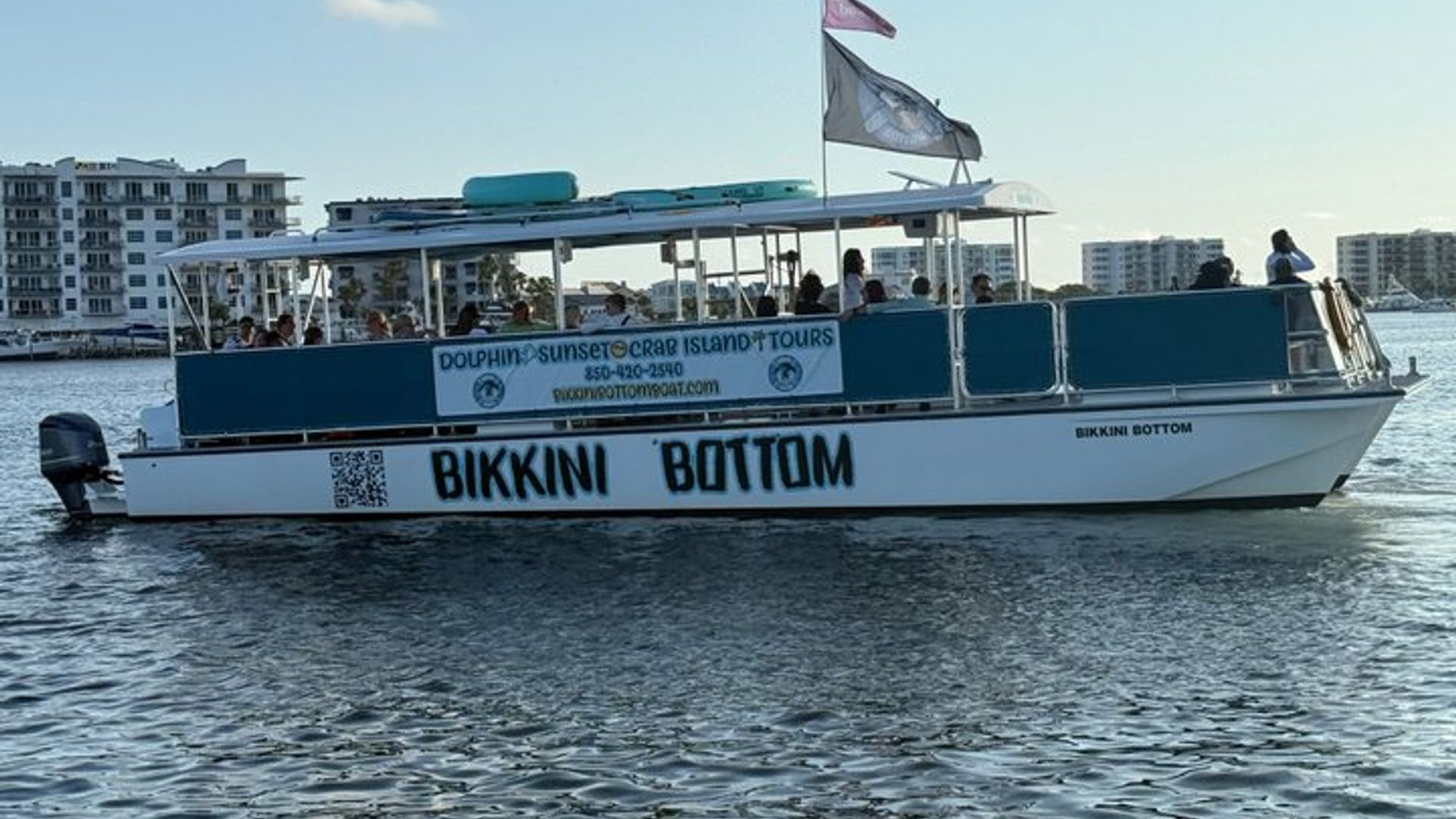 Crucero de observación de delfines al atardecer