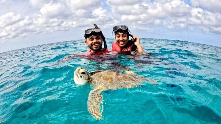 Private Turtle Snorkel Tour in Aruba +Professional video footage