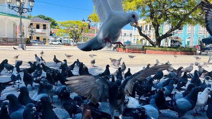 Puerto Plata City Private Tour
