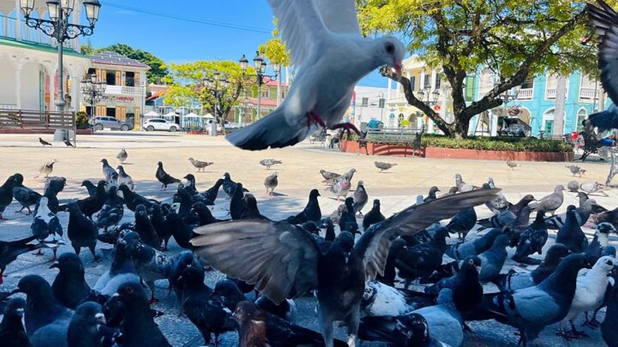 Puerto Plata City Private Tour